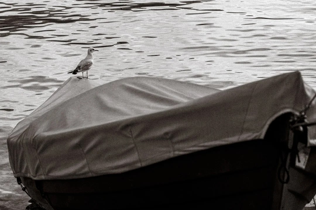 Waterproof Polyester Fabric for Marine Applications