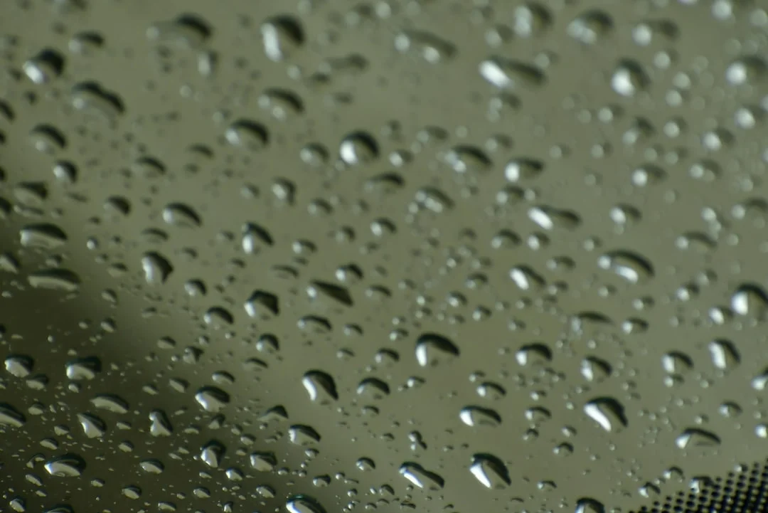 Waterproof Polyester Fabric vs Oxford Fabric for Bags and Gear